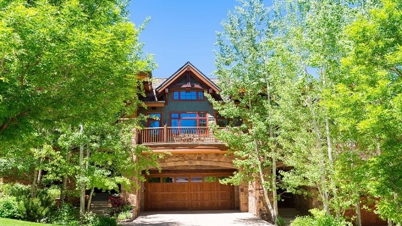 Tree Maintenance Tips Every Homeowner Should Know