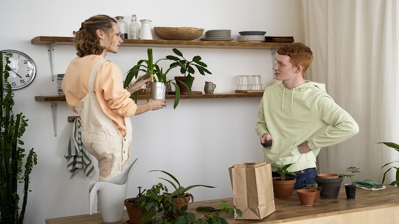 Home Tips Livpristvac